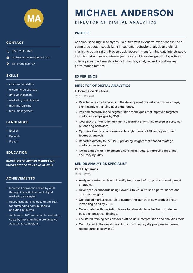 Digital Analytics Executive Resume Preview Example