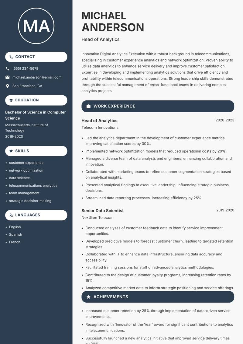 Digital Analytics Executive Resume Preview Example