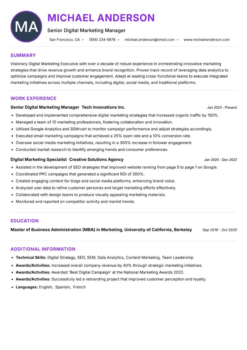 Digital Marketing Executive Resume Preview Example