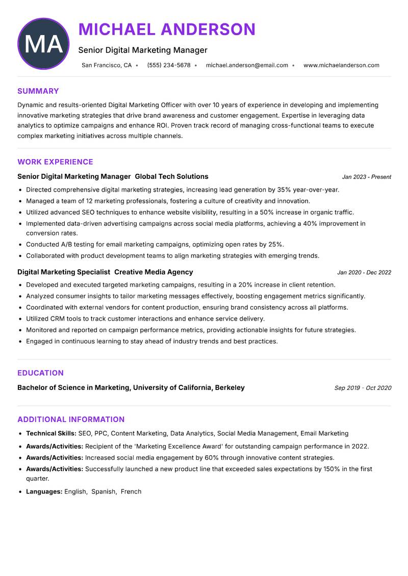 Digital Marketing Officer Resume Preview Example