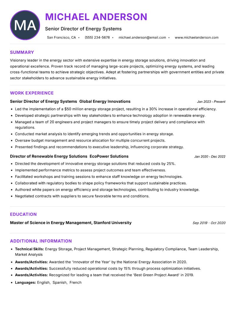 Director of Energy Storage Resume Preview Example