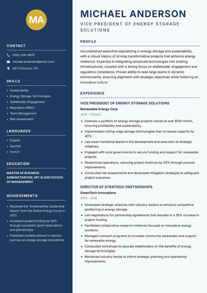 Director of Energy Storage Resume Preview Example
