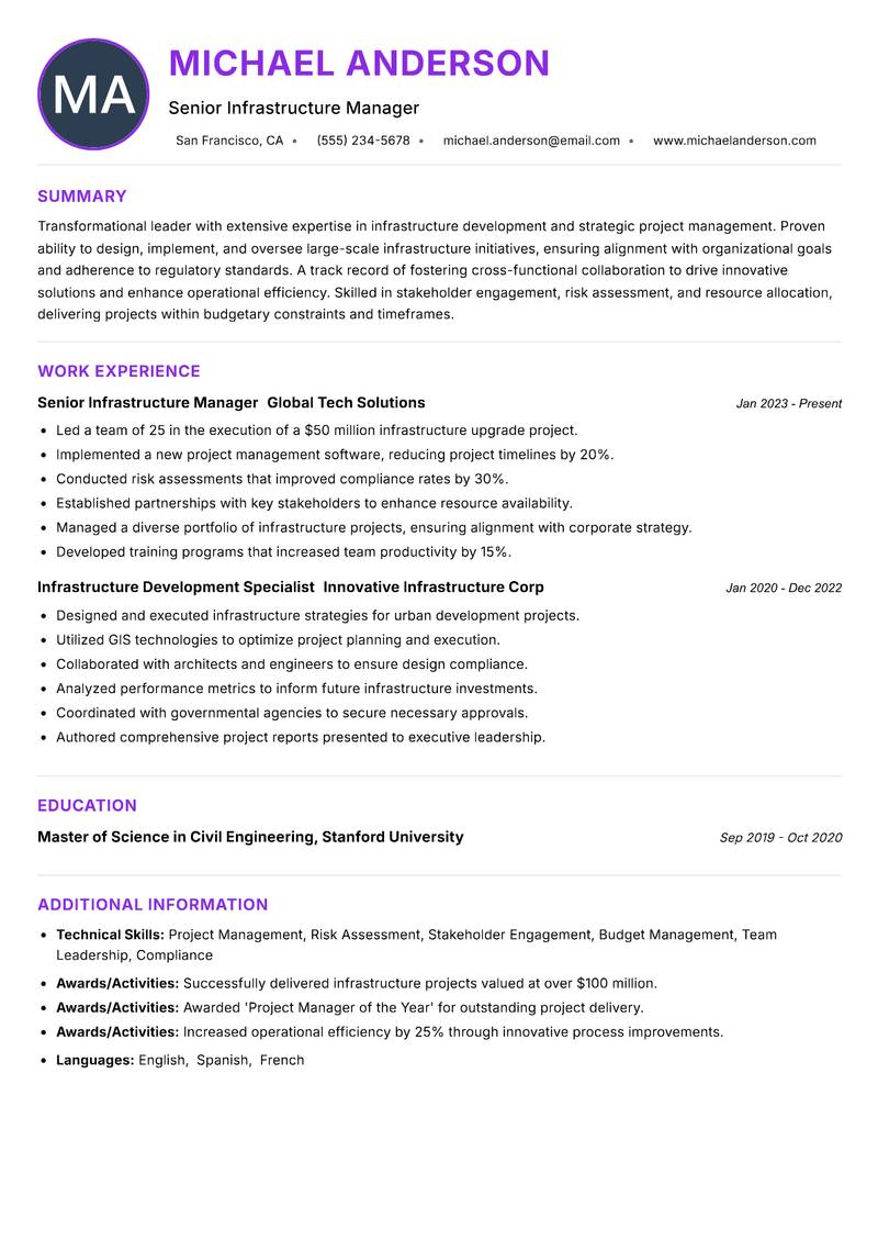 Director of Infrastructure Development Resume Preview Example