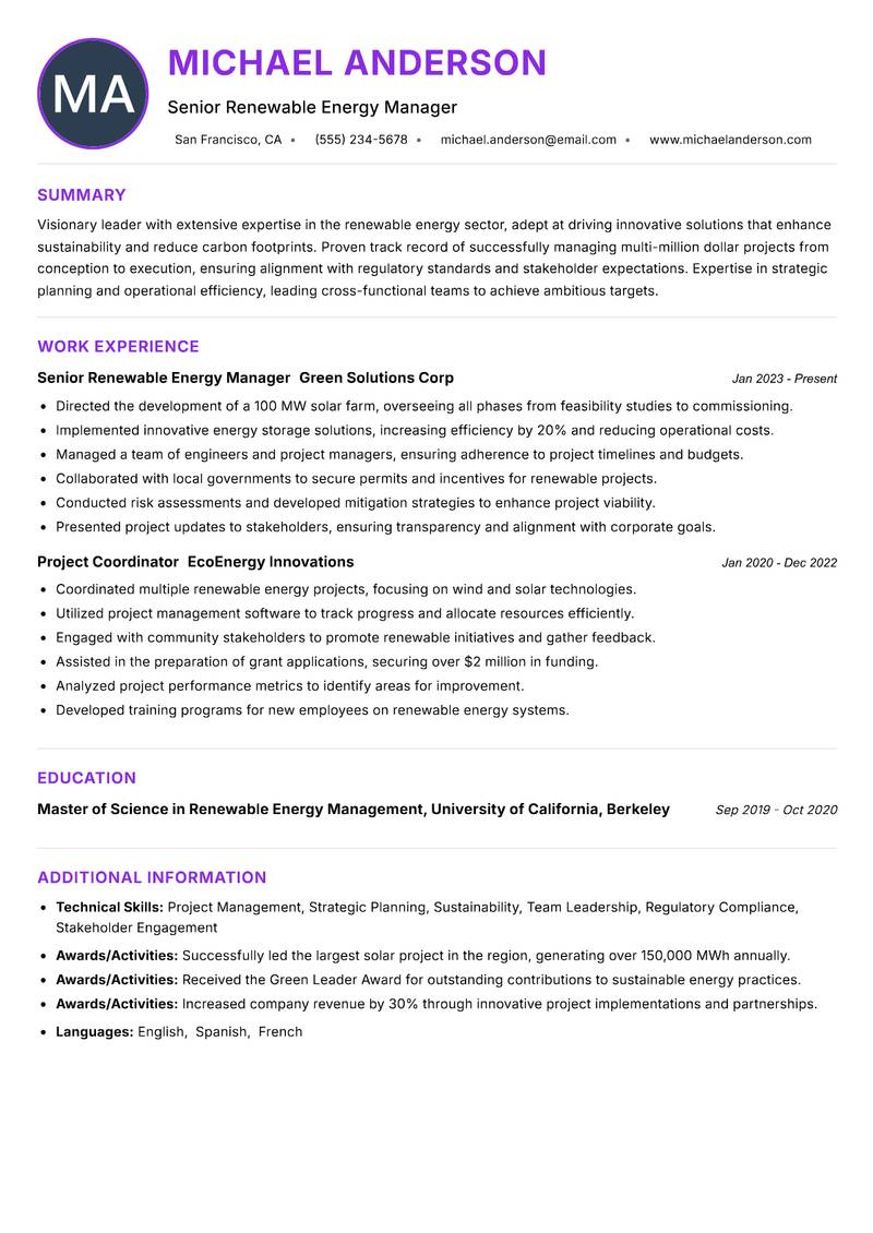 Director of Renewable Energy Resume Preview Example