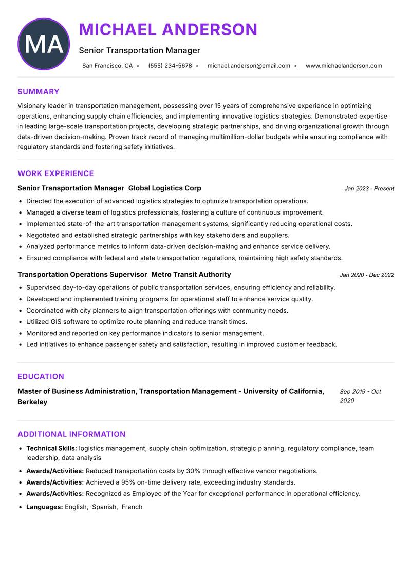 Director of Transportation Resume Preview Example