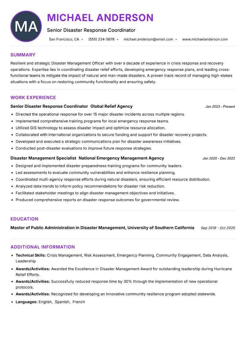 Disaster Management Officer Resume Preview Example