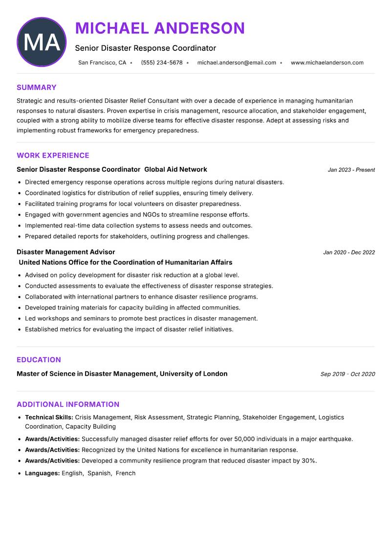 Disaster Relief Consultant Resume Preview Example