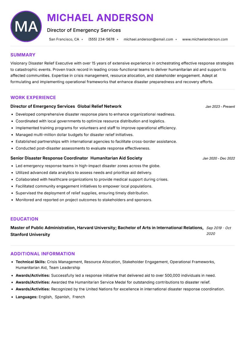 Disaster Relief Executive Resume Preview Example