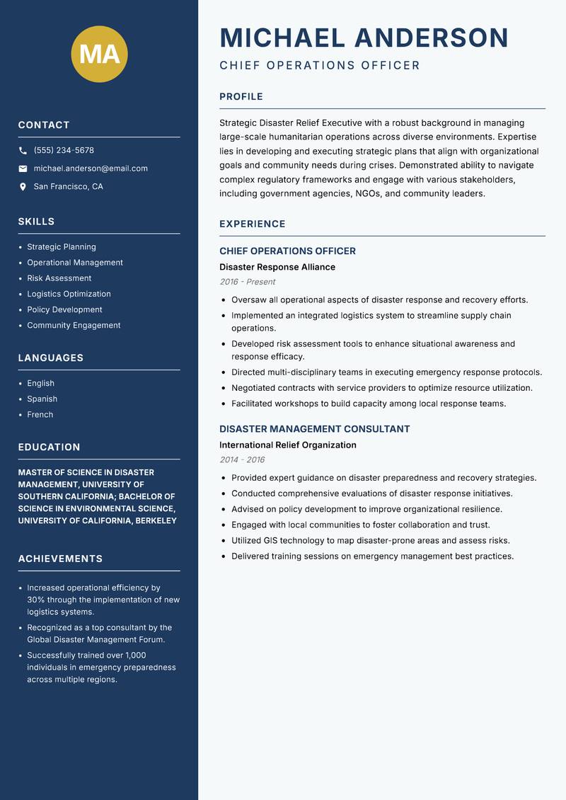Disaster Relief Executive Resume Preview Example