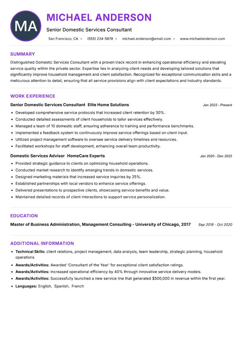 Domestic Services Consultant Resume Preview Example