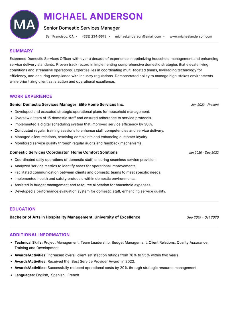 Domestic Services Officer Resume Preview Example