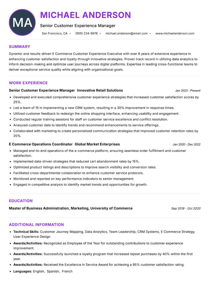 E Commerce Customer Experience Executive Resume Preview Example