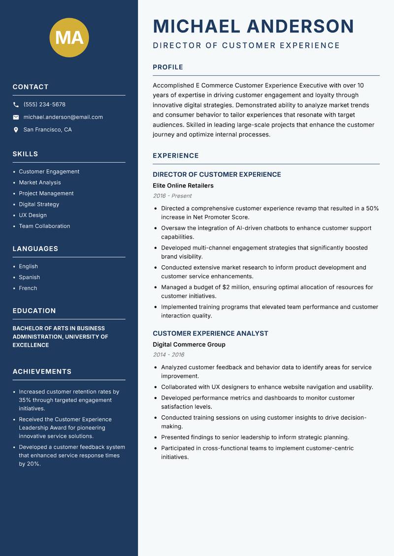 E Commerce Customer Experience Executive Resume Preview Example