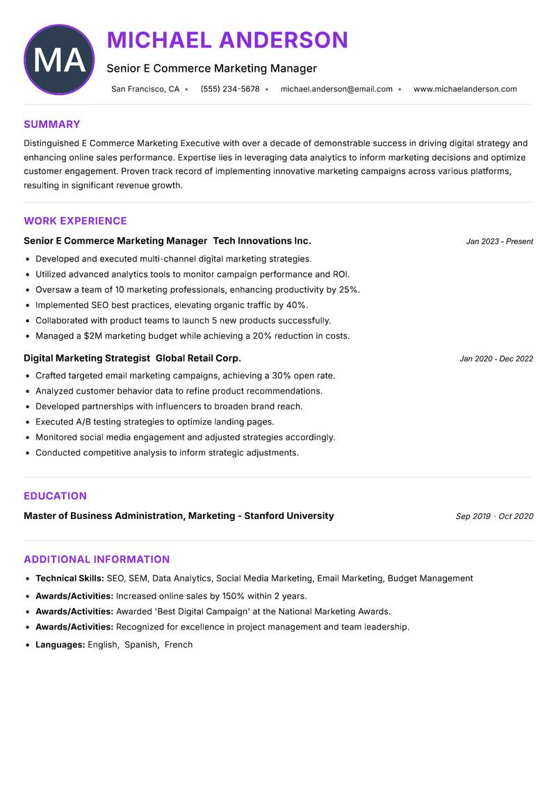 E Commerce Marketing Executive Resume Preview Example