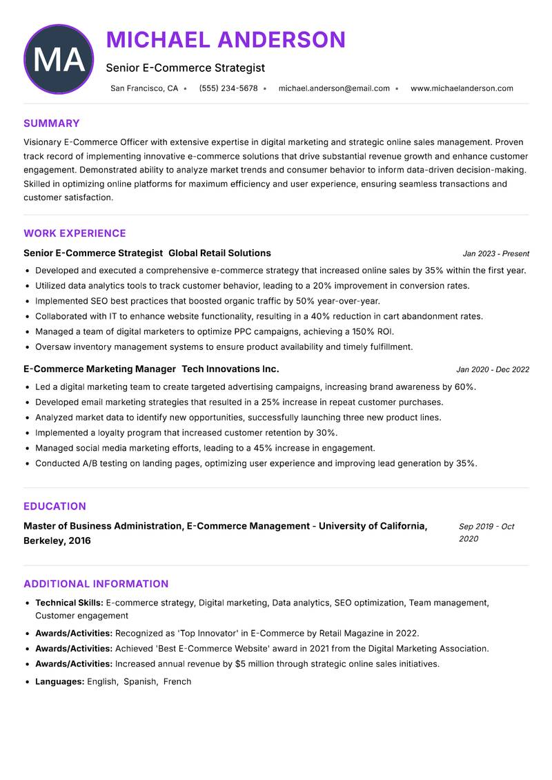 E Commerce Officer Resume Preview Example