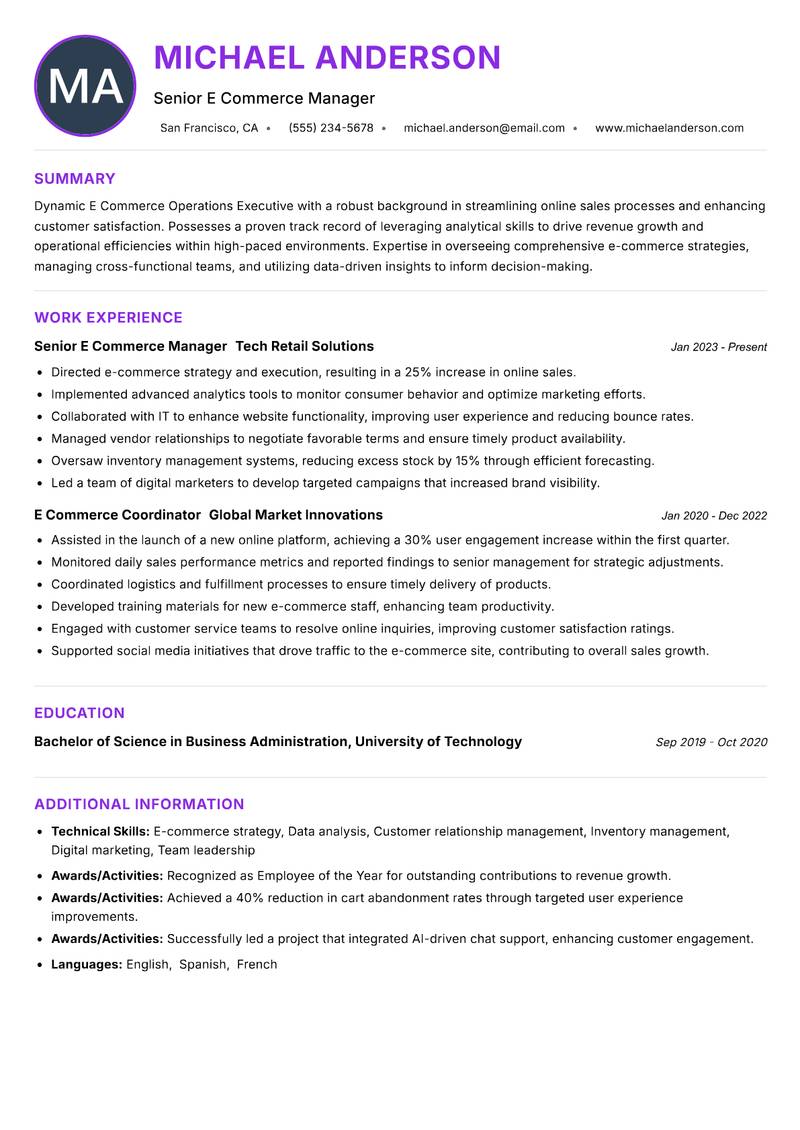 E Commerce Operations Executive Resume Preview Example