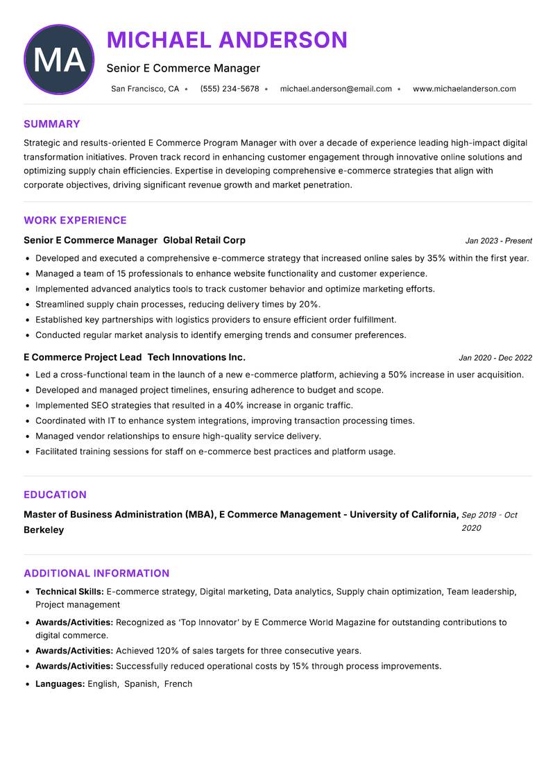 E Commerce Program Manager Resume Preview Example