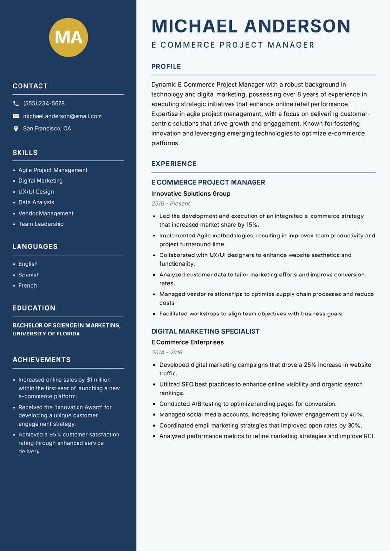 E Commerce Project Manager Resume Preview Example