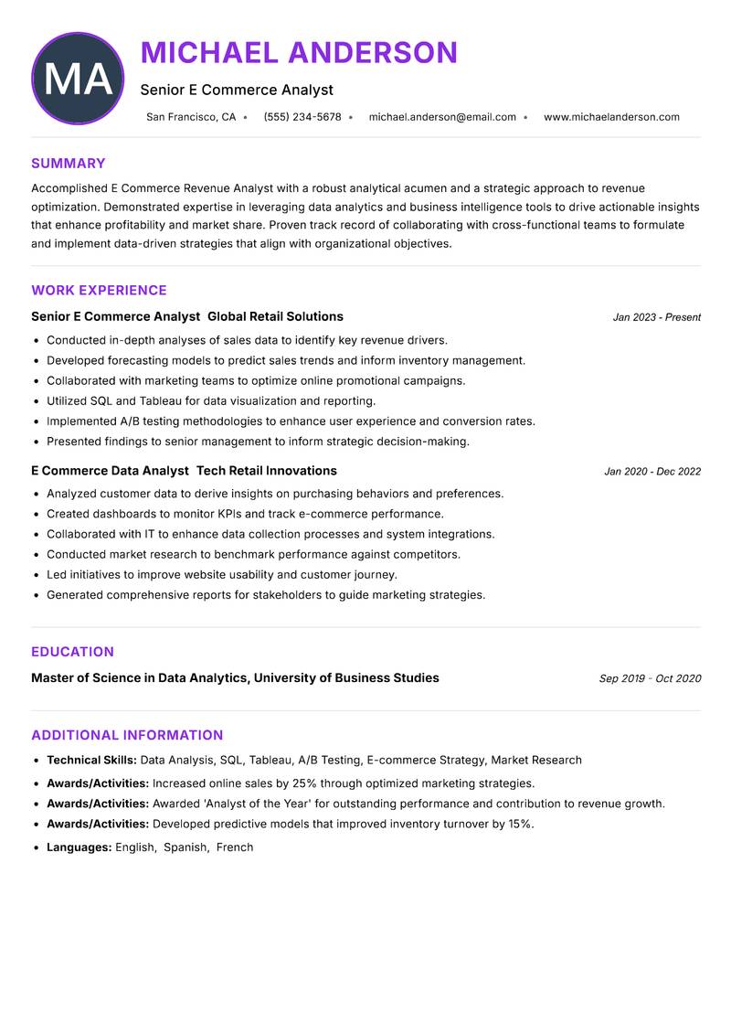E Commerce Revenue Analyst Resume Preview Example