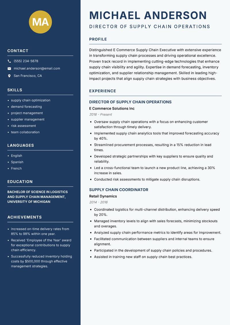 E Commerce Supply Chain Executive Resume Preview Example