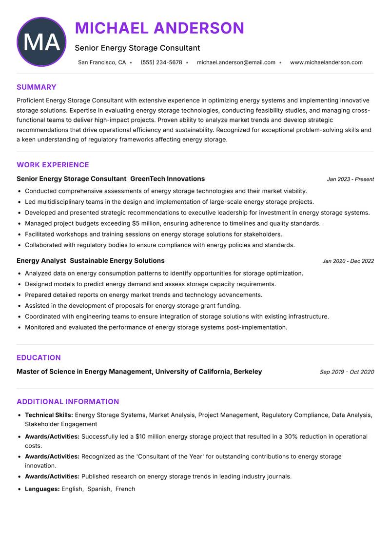 Energy Storage Consultant Resume Preview Example