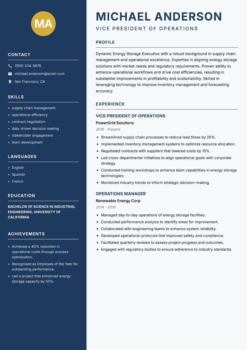 Energy Storage Executive Resume Preview Example