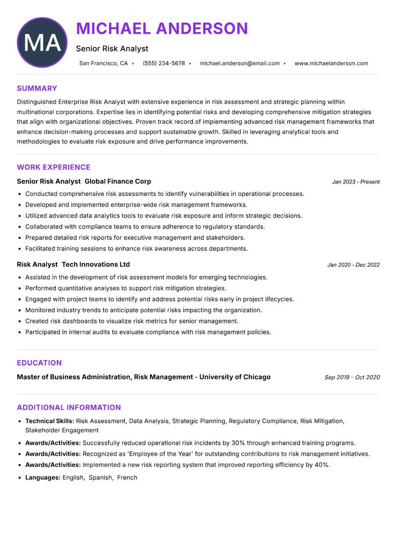 Enterprise Risk Analyst Resume Preview Example