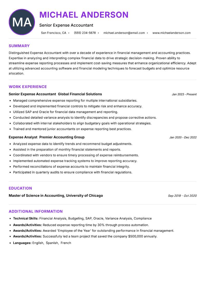 Expense Accountant Resume Preview Example