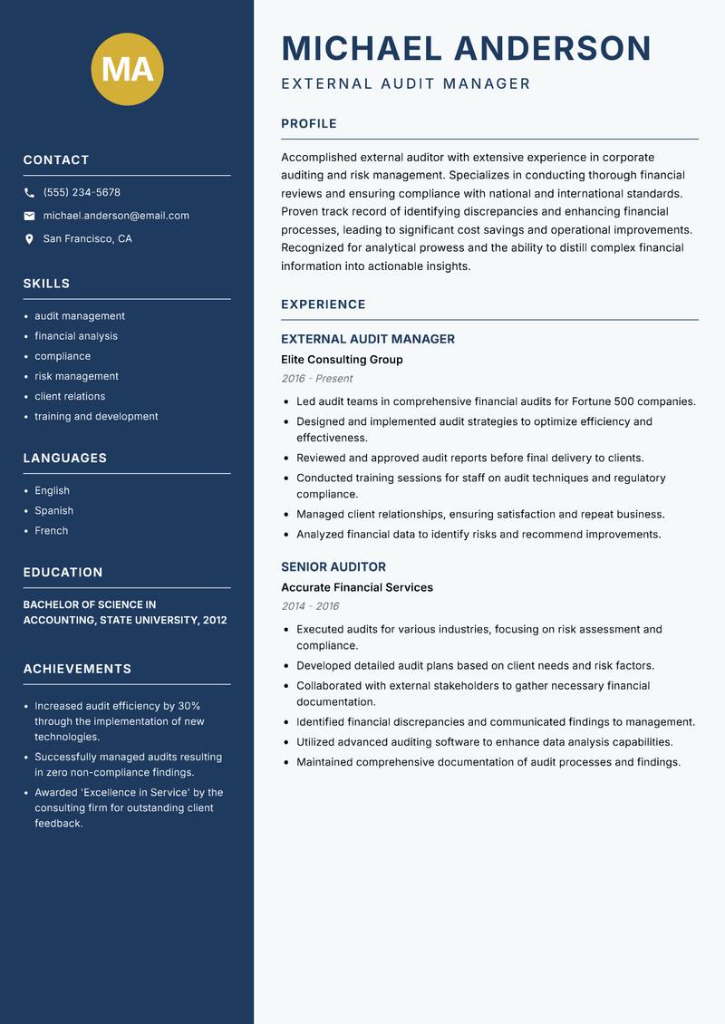 External Auditor Resume Preview Example