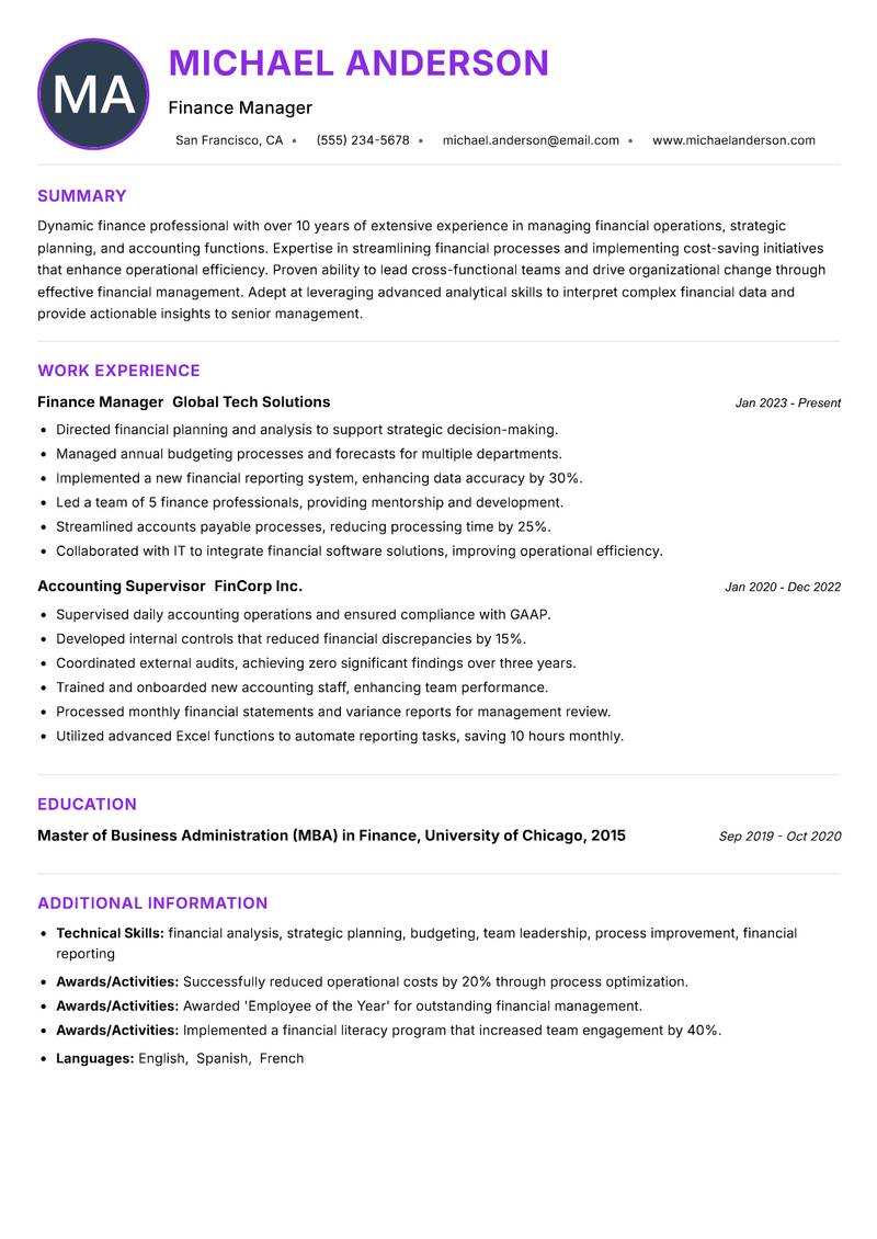 Finance and Accounting Manager Resume Preview Example