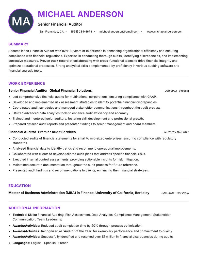 Financial Auditor Resume Preview Example