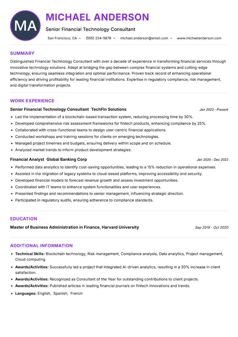 Financial Technology Consultant Resume Preview Example