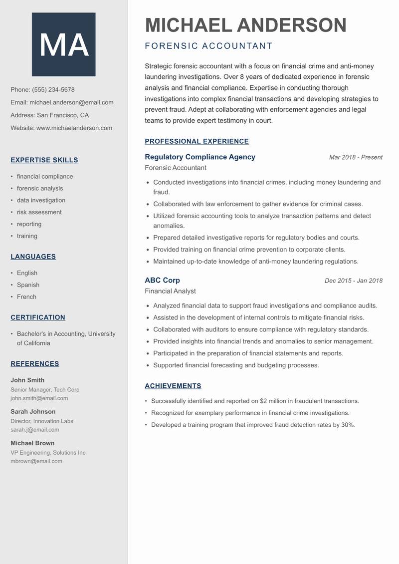 Forensic Accountant Resume Preview Example