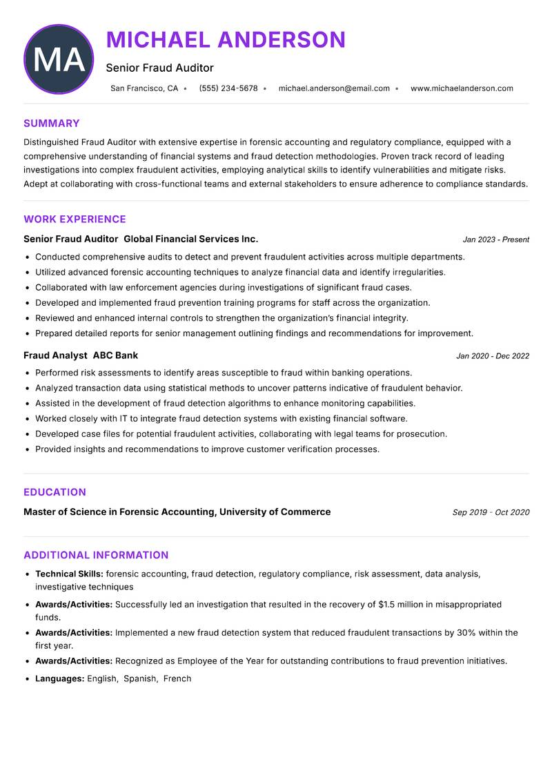 Fraud Auditor Resume Preview Example