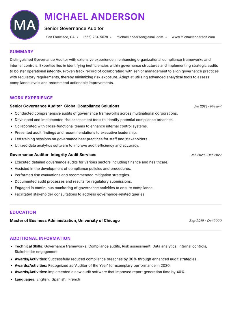 Governance Auditor Resume Preview Example