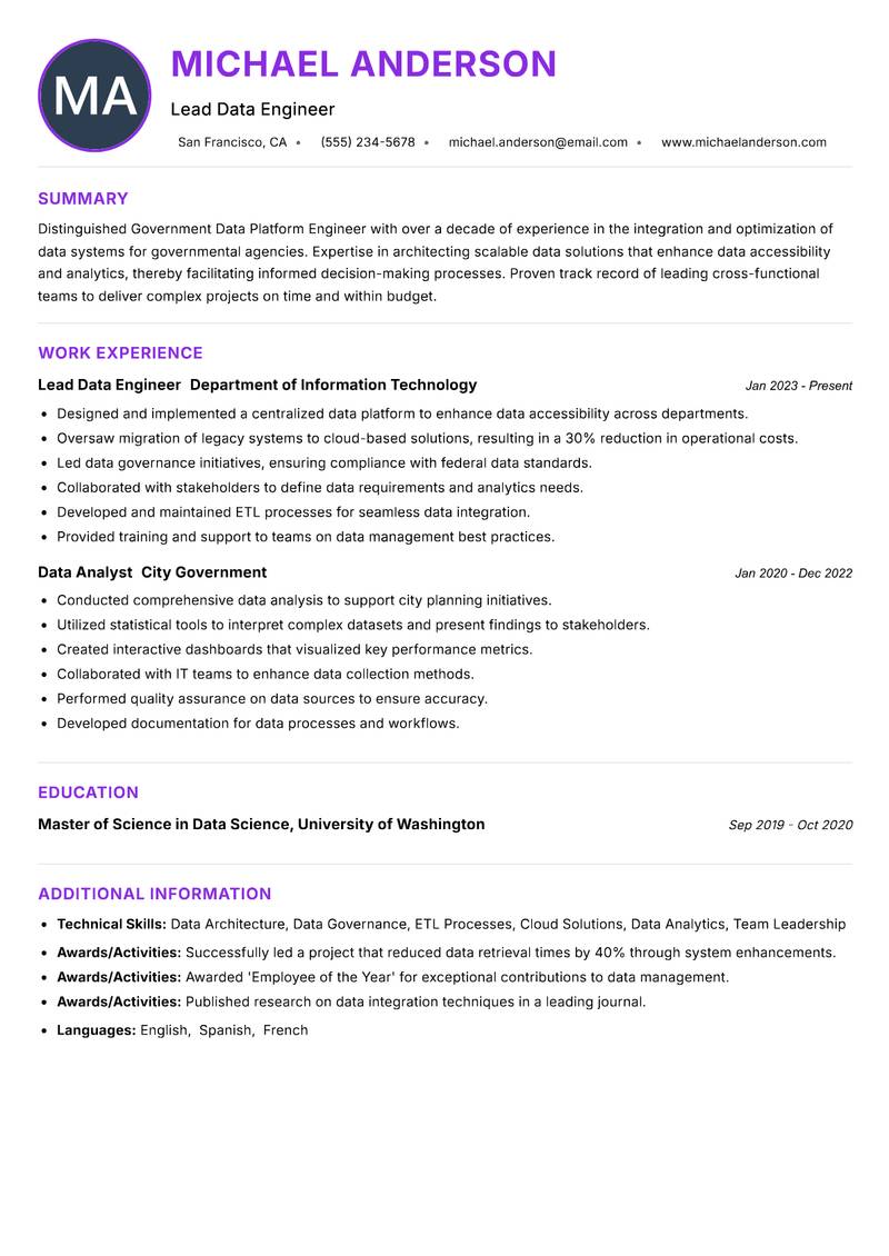 Government Data Platform Engineer Resume Preview Example