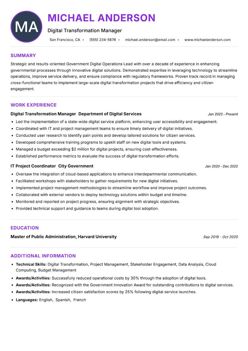 Government Digital Operations Lead Resume Preview Example
