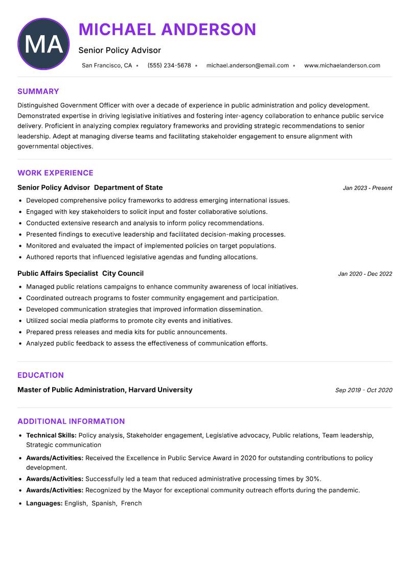 Government Officer Resume Preview Example