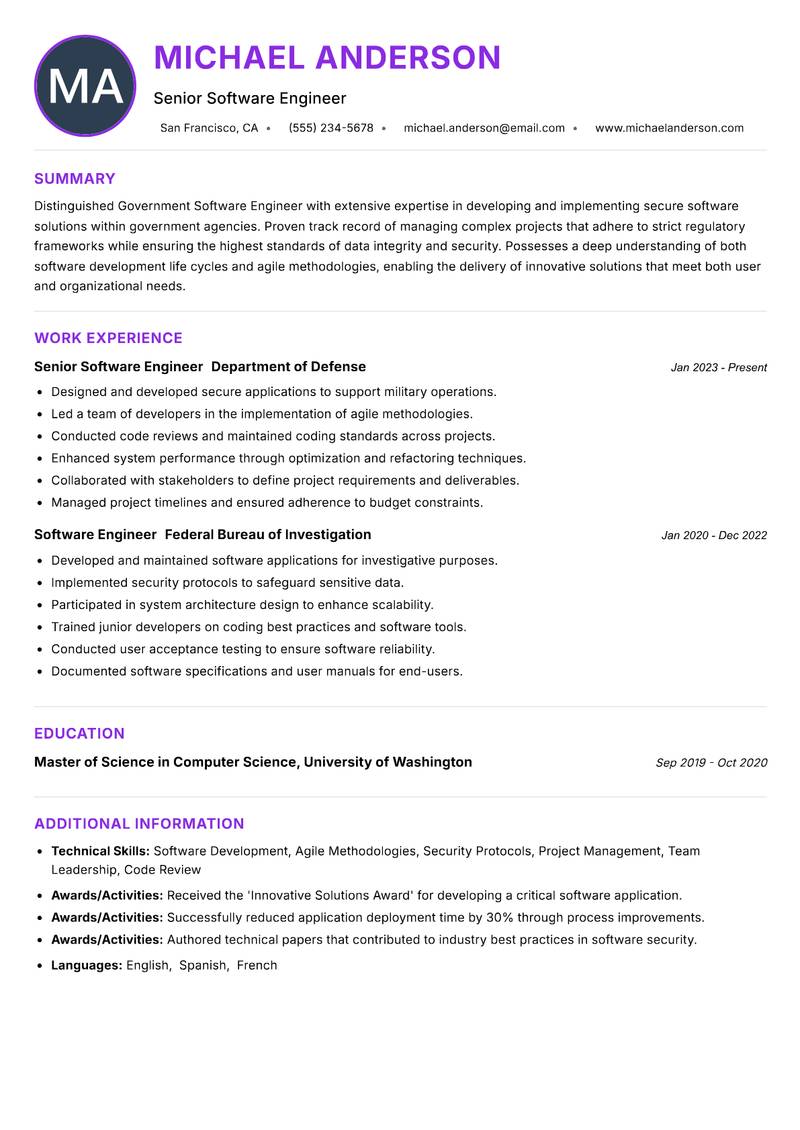 Government Software Engineer Resume Preview Example
