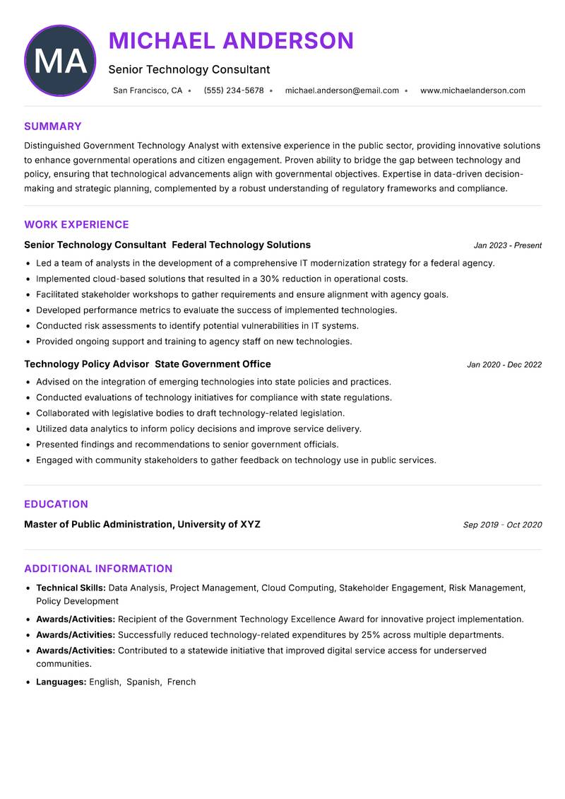 Government Technology Analyst Resume Preview Example