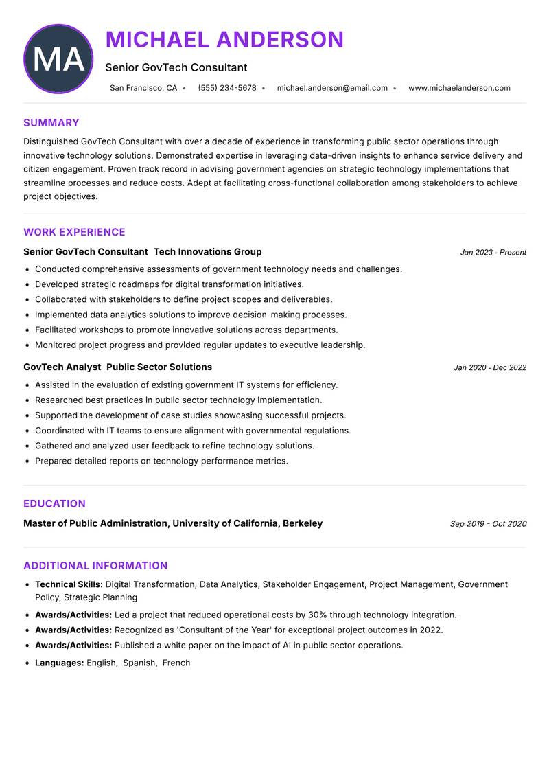 GovTech Consultant Resume Preview Example
