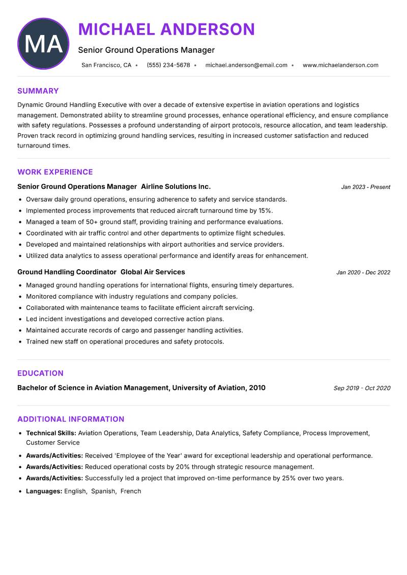 Ground Handling Executive Resume Preview Example