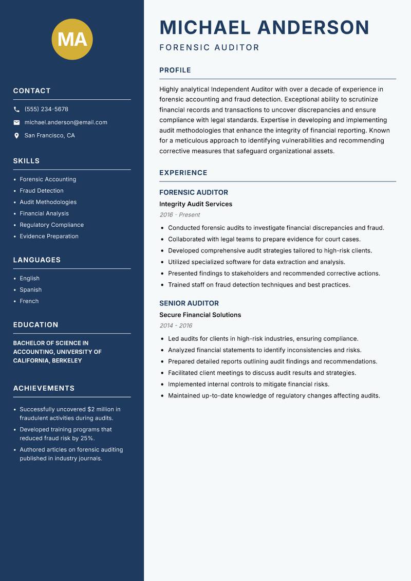 Independent Auditor Resume Preview Example