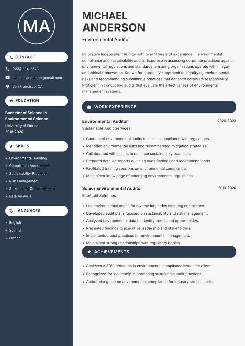 Independent Auditor Resume Preview Example