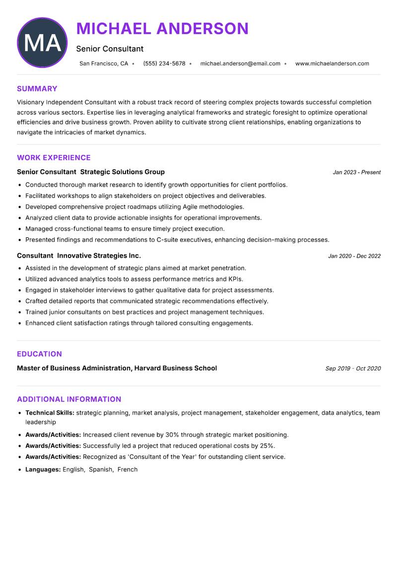 Independent Consultant Resume Preview Example