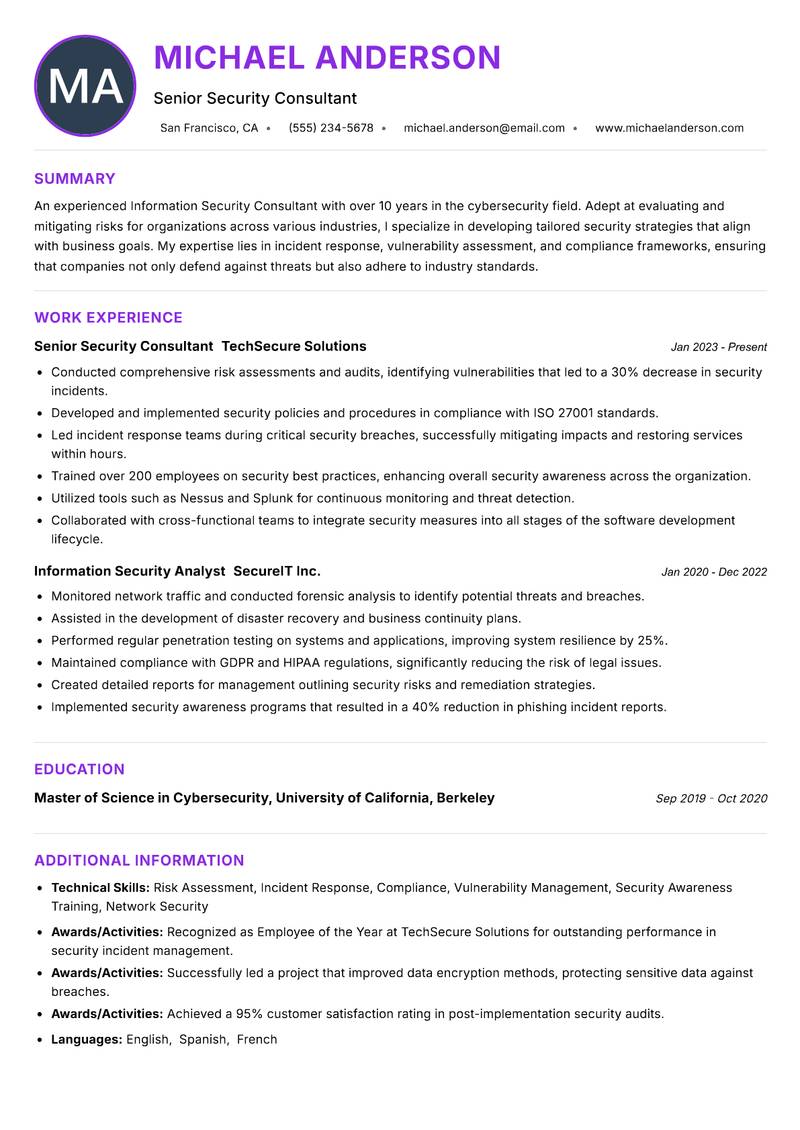 Information Security Consultant Resume Preview Example