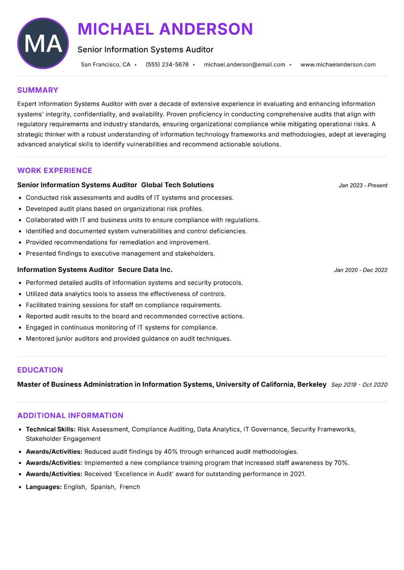 Information Systems Auditor Resume Preview Example