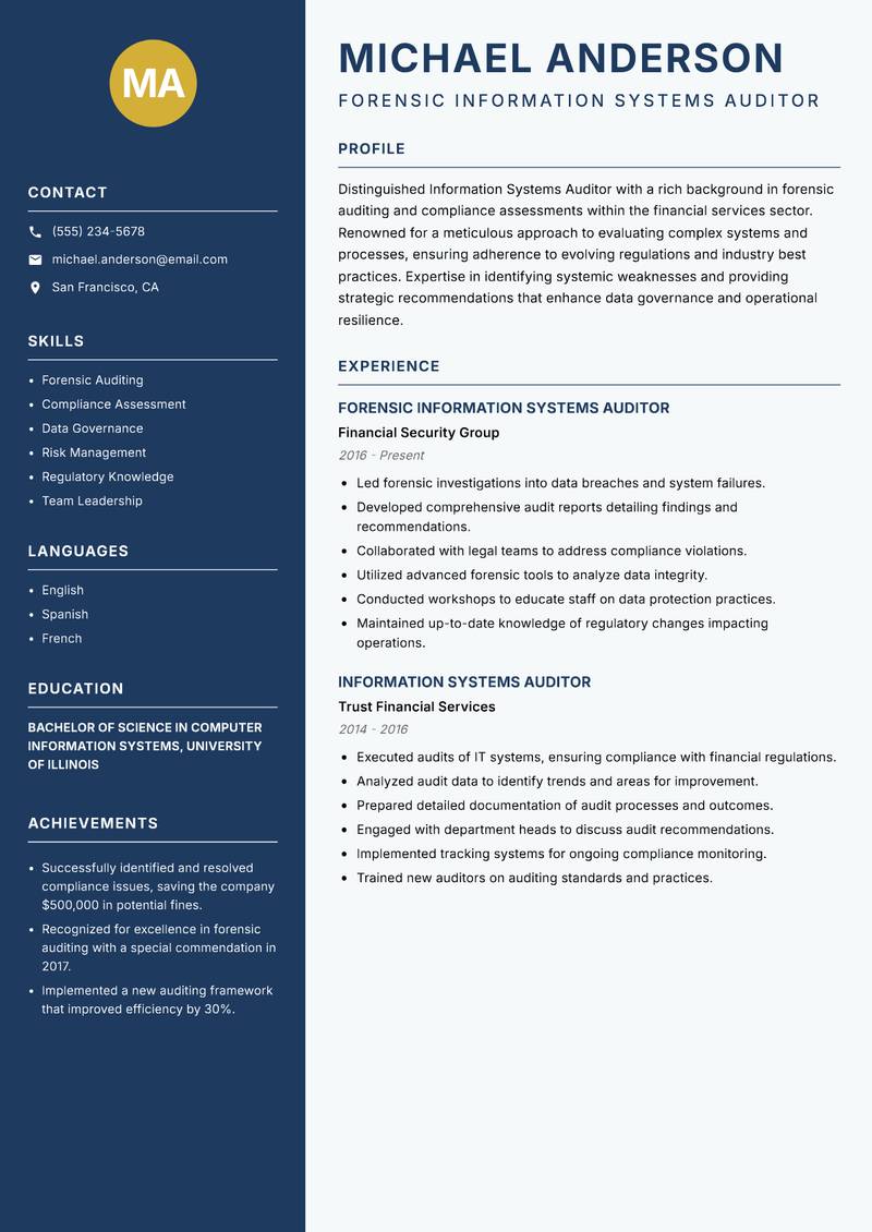 Information Systems Auditor Resume Preview Example