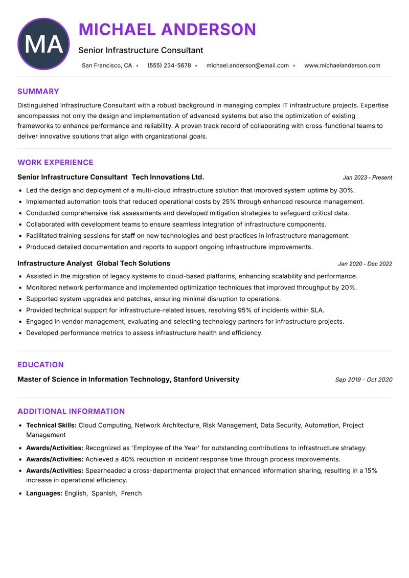 Infrastructure Consultant Resume Preview Example
