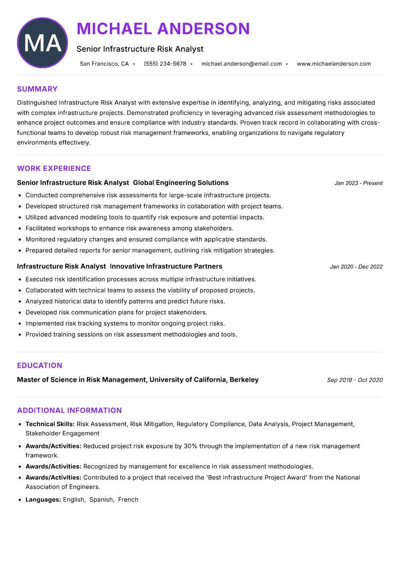 Infrastructure Risk Analyst Resume Preview Example